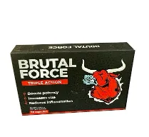 Brutal Force Brutal Force